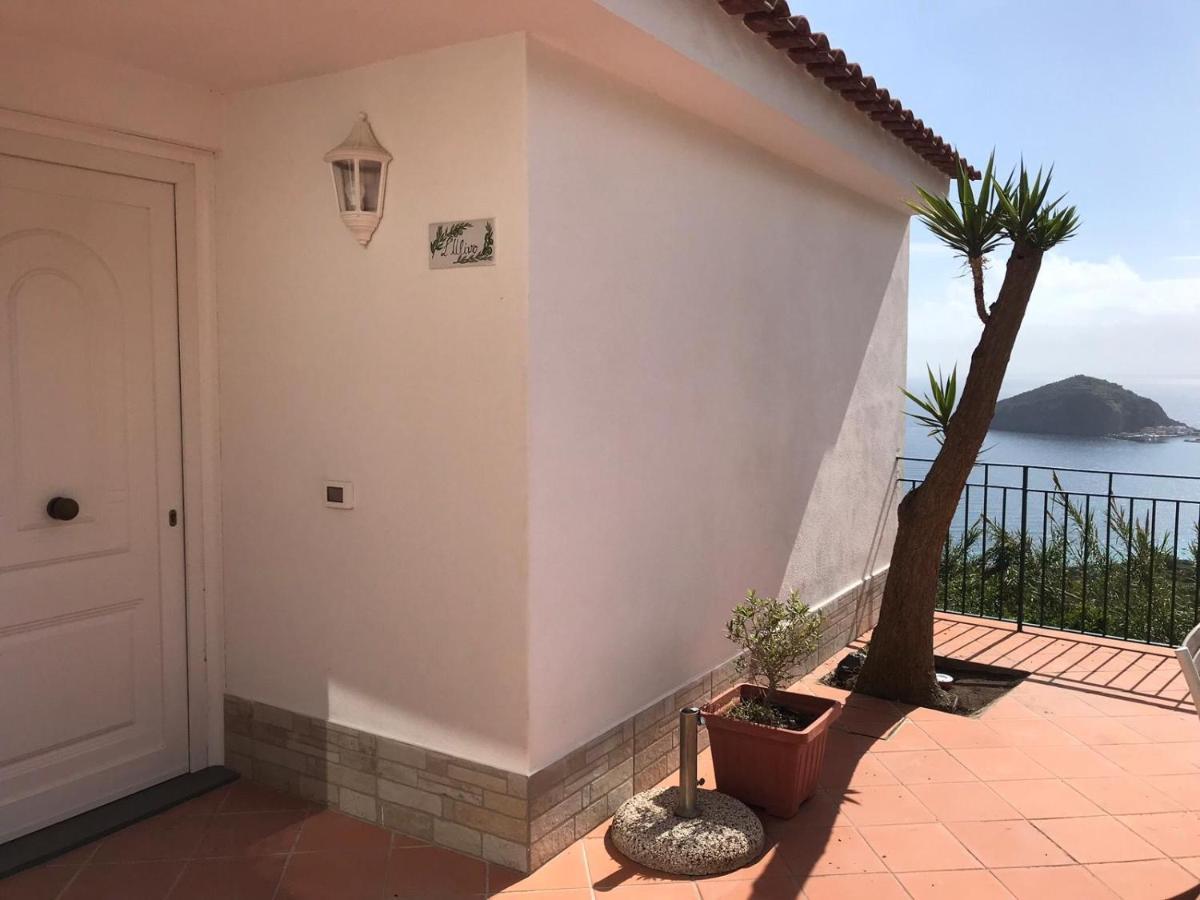 L' Ulivo Villa Nunzia Barano d'Ischia Exterior photo